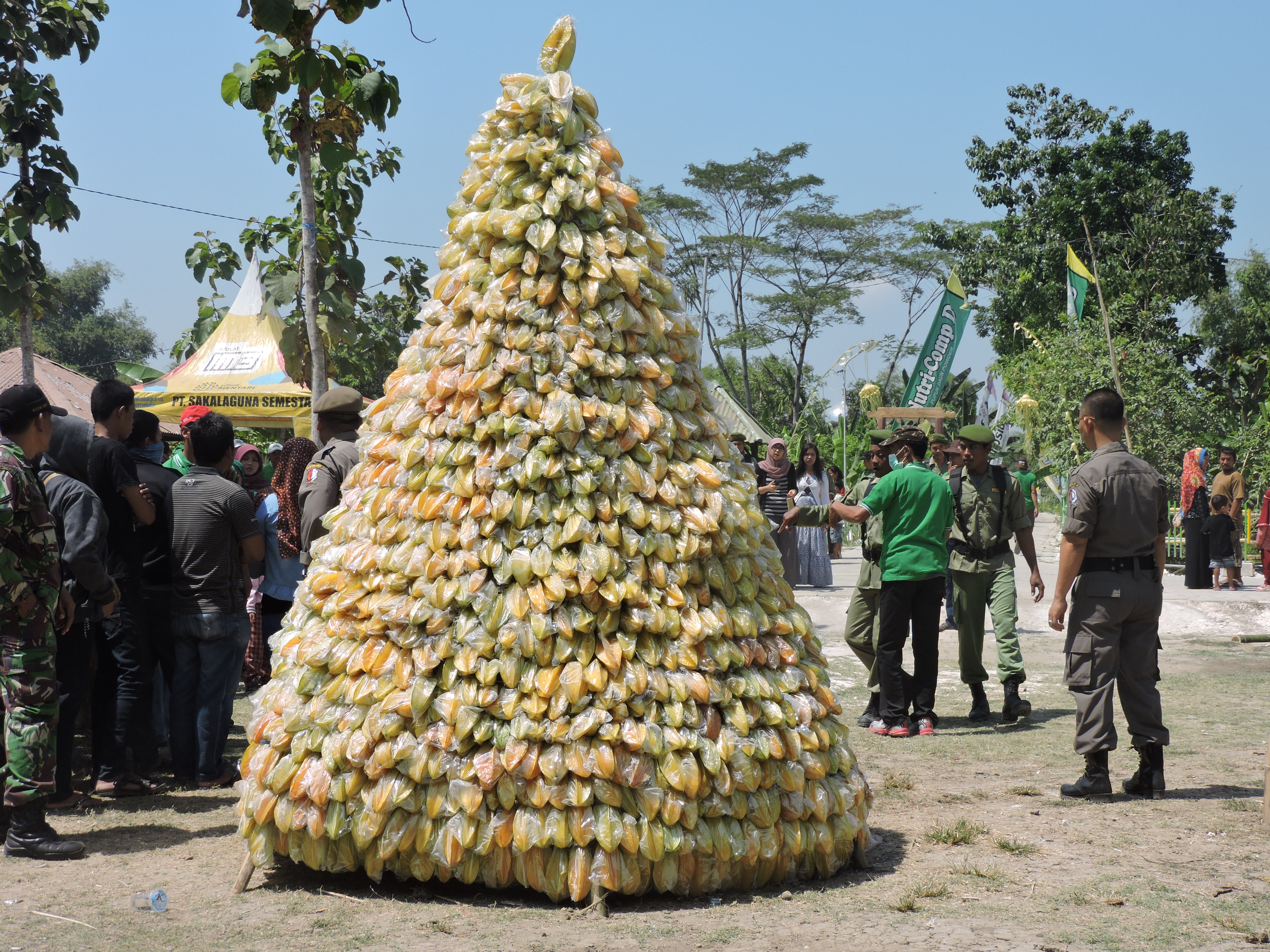 Festival belimbing & sedekah bumi Ds. Ngringinrejo