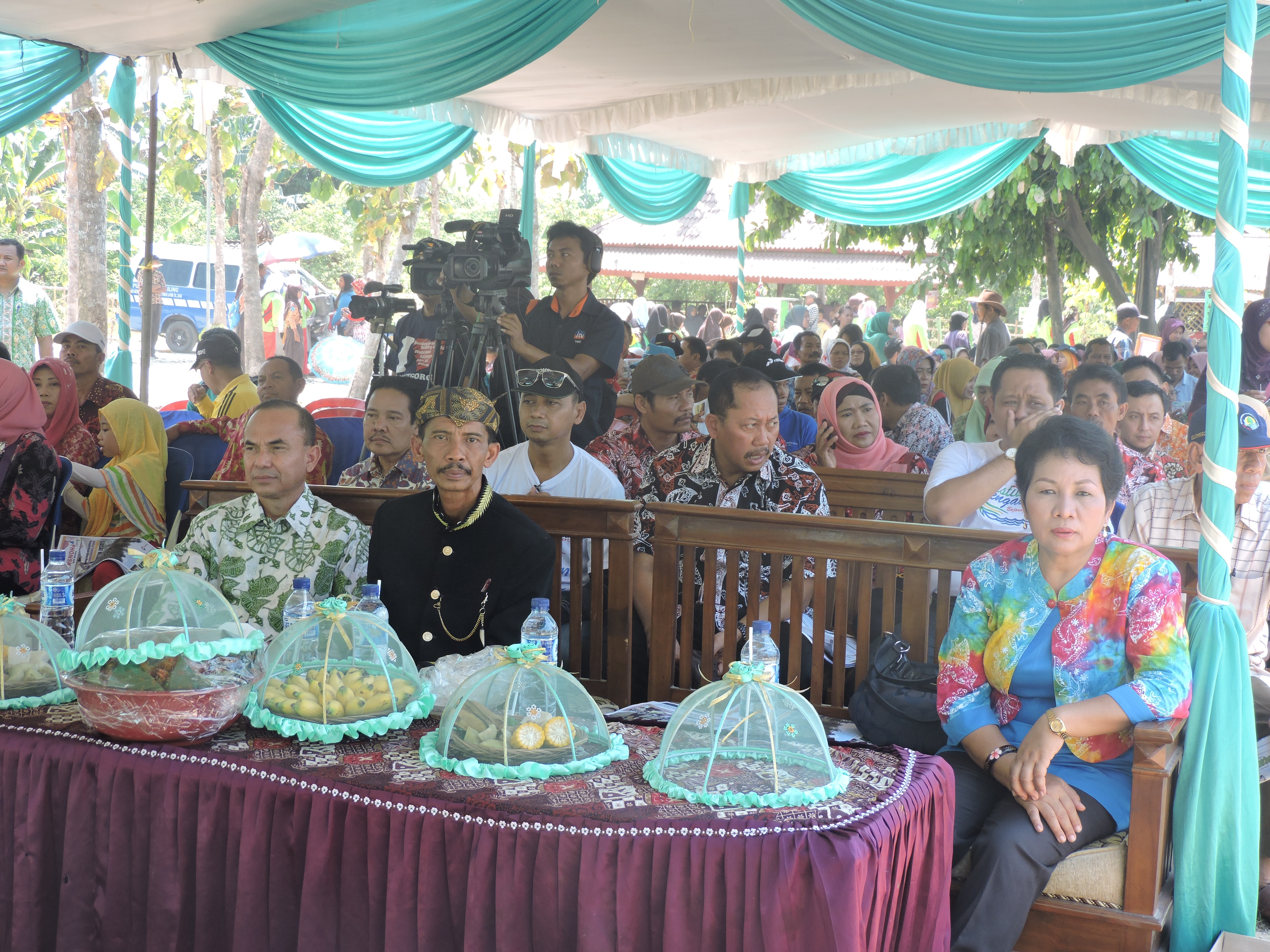 Festival belimbing & sedekah bumi Ds. Ngringinrejo